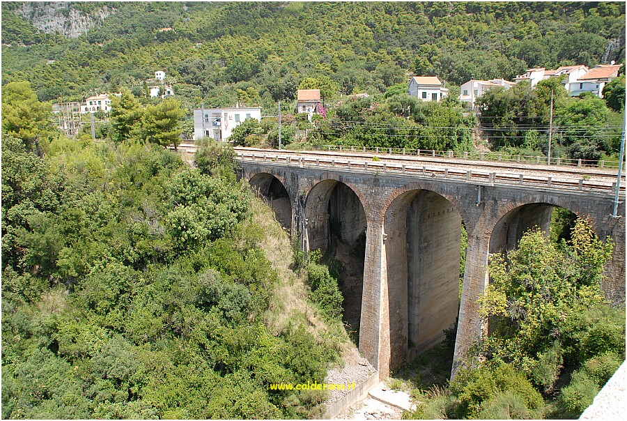 25 20 Luglio 2009 046 121544.JPG