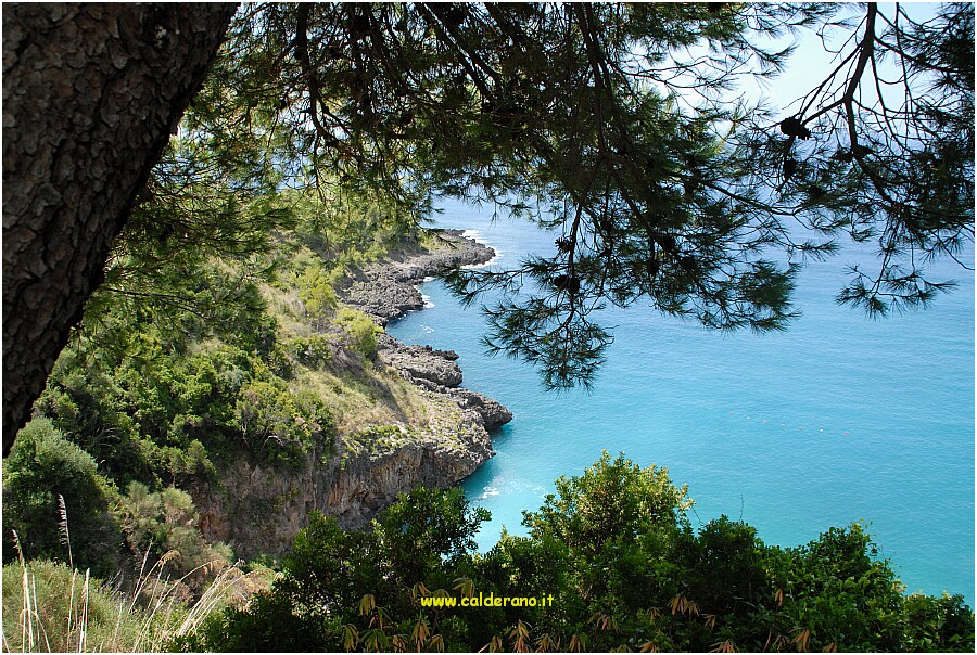 25 20 Luglio 2009 052 121938.JPG