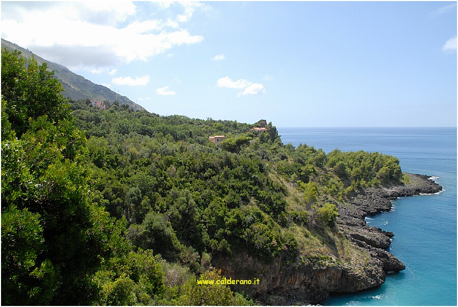 25 20 Luglio 2009 055 122145.JPG