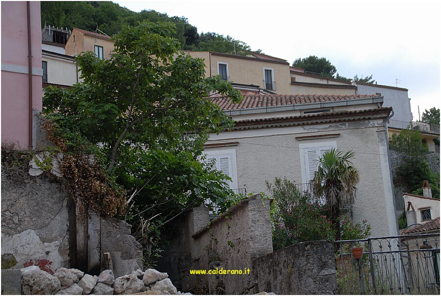 28 11 Luglio 2009 008 190550.JPG