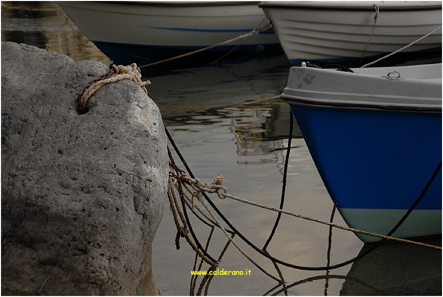 29 10 Luglio 2009 082 193849.JPG