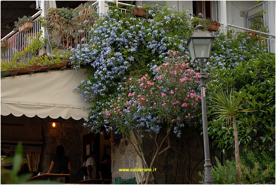 29 10 Luglio 2009 107 194636.JPG