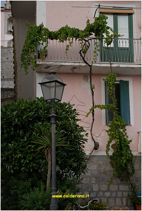 29 10 Luglio 2009 123 202047.JPG
