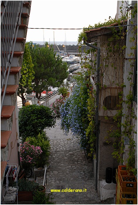 29 10 Luglio 2009 130 202434.JPG