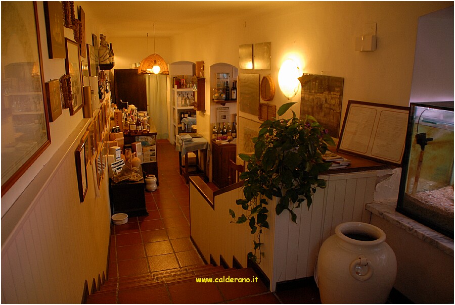 29 10 Luglio 2009 135 202624.JPG