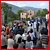 Processione San Francesco 063.jpg