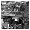 25 Ottobre 2008 060.jpg