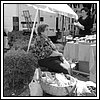 25 Ottobre 2008 164.jpg