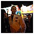 Rosario 2007 358.jpg(4,12 MB)