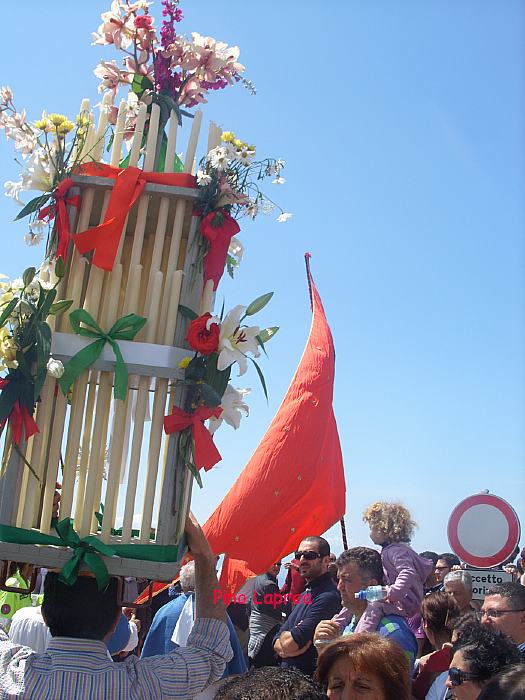 Pino 197 090510.JPG