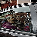 14F_5944 - 143 KB