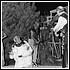Compagnia Ninetto Davoli e paolo Ferrara2 - 291 KB