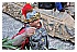 07 Marzo 2011 080 - 263 KB