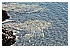 12 Marzo 2011 008 - 313 KB
