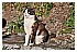 12 Marzo 2011 044 - 265 KB