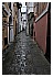 13 Marzo 2011 045 - 164 KB