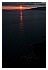 19 Marzo 2011 075 - 54,1 KB