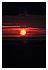 19 Marzo 2011 100a - 36,0 KB
