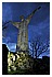 19 Marzo 2011 124 - 125 KB