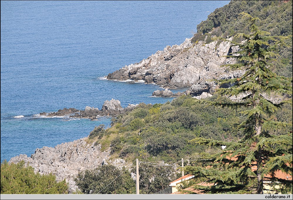 01 Aprile 2011 005.jpg