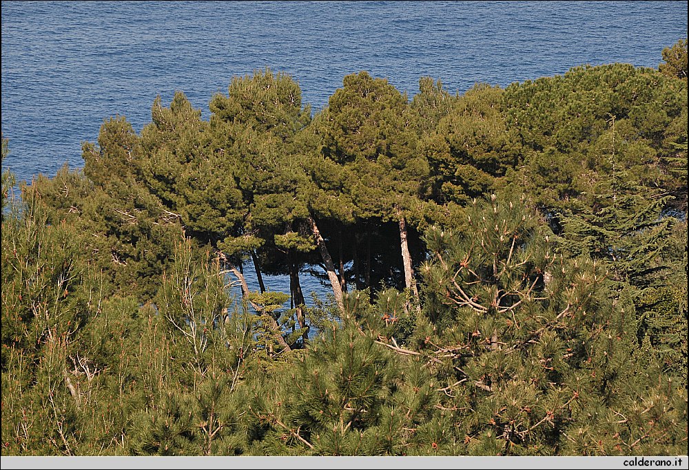 01 Aprile 2011 009.jpg