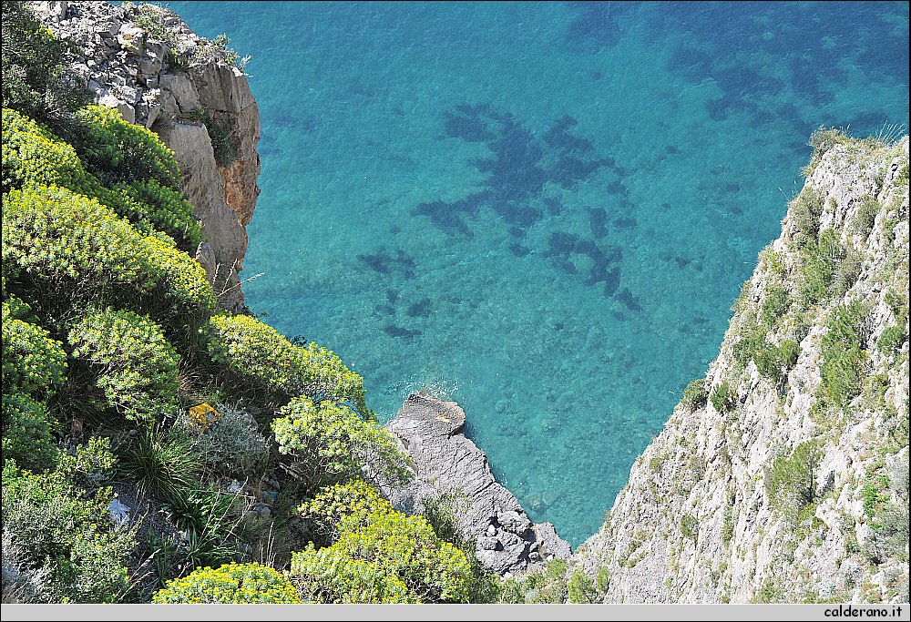 02 Aprile 2011 024.jpg