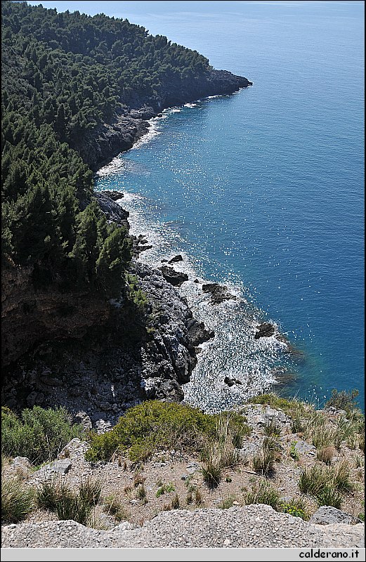 02 Aprile 2011 046.jpg