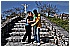 01 Aprile 2011 013 - 317 KB