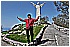 01 Aprile 2011 023 - 287 KB