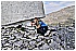 01 Aprile 2011 053 - 354 KB
