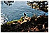 02 Aprile 2011 002 - 345 KB