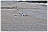 02 Aprile 2011 035 - 333 KB