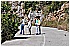 02 Aprile 2011 044 - 361 KB