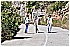 02 Aprile 2011 045 - 364 KB