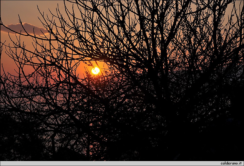 02 Aprile 2011 050.jpg