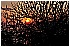 02 Aprile 2011 050 - 279 KB