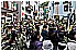 17 Aprile 2011 015 - 291 KB