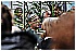 17 Aprile 2011 016 - 140 KB