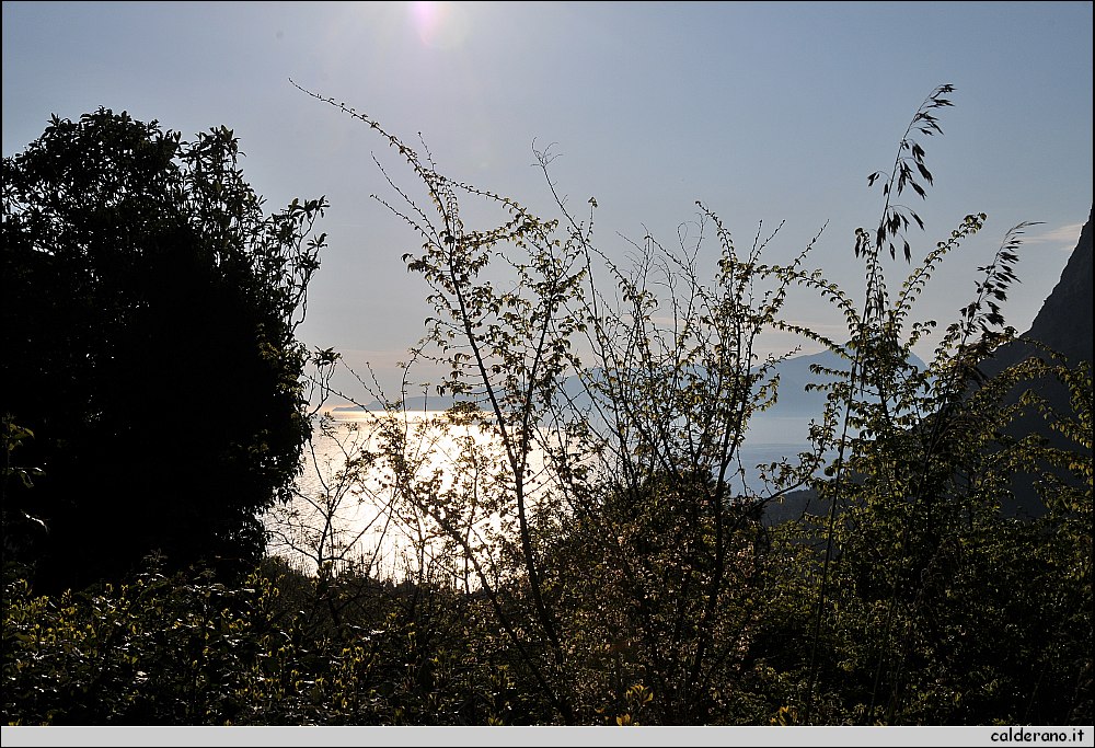 22 Aprile 2011 044.jpg