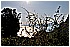 22 Aprile 2011 044 - 247 KB