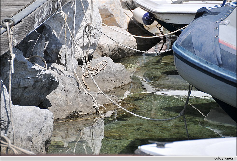 24 Aprile 2011 006.jpg
