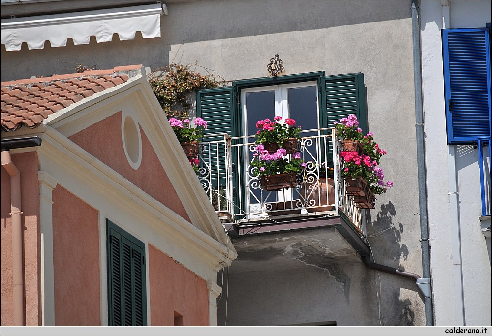 24 Aprile 2011 013.jpg