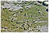 24 Aprile 2011 025 - 294 KB