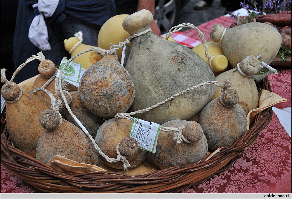29 Aprile 2011 015.jpg