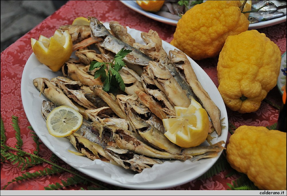29 Aprile 2011 036.jpg
