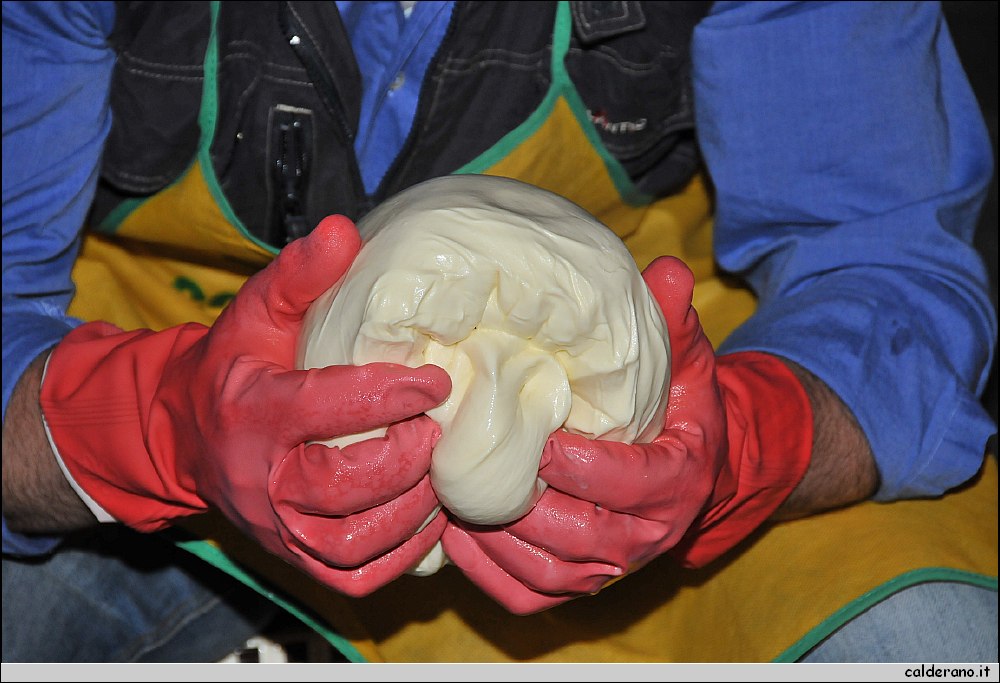 BIA_6291.JPG