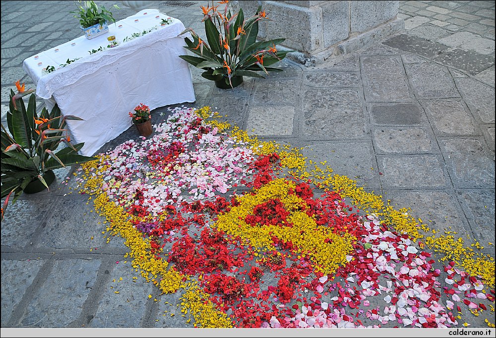BIA_8178.JPG
