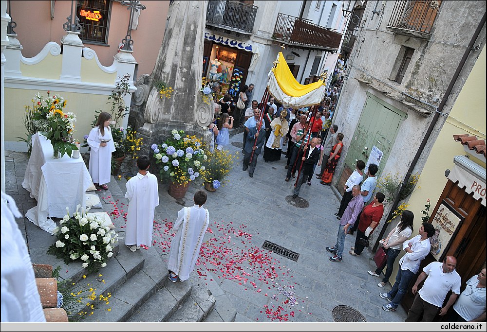 BIA_8208.JPG