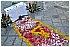 BIA_8178 - 352 KB