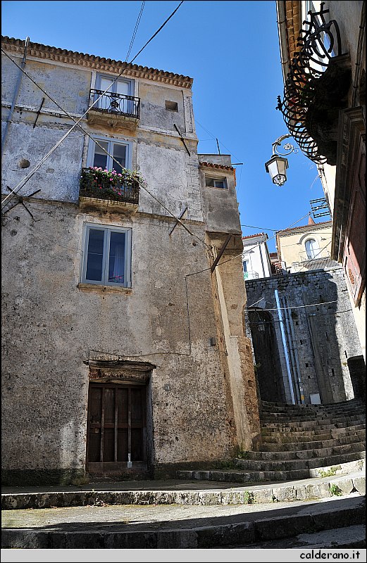 BIA_8333.JPG